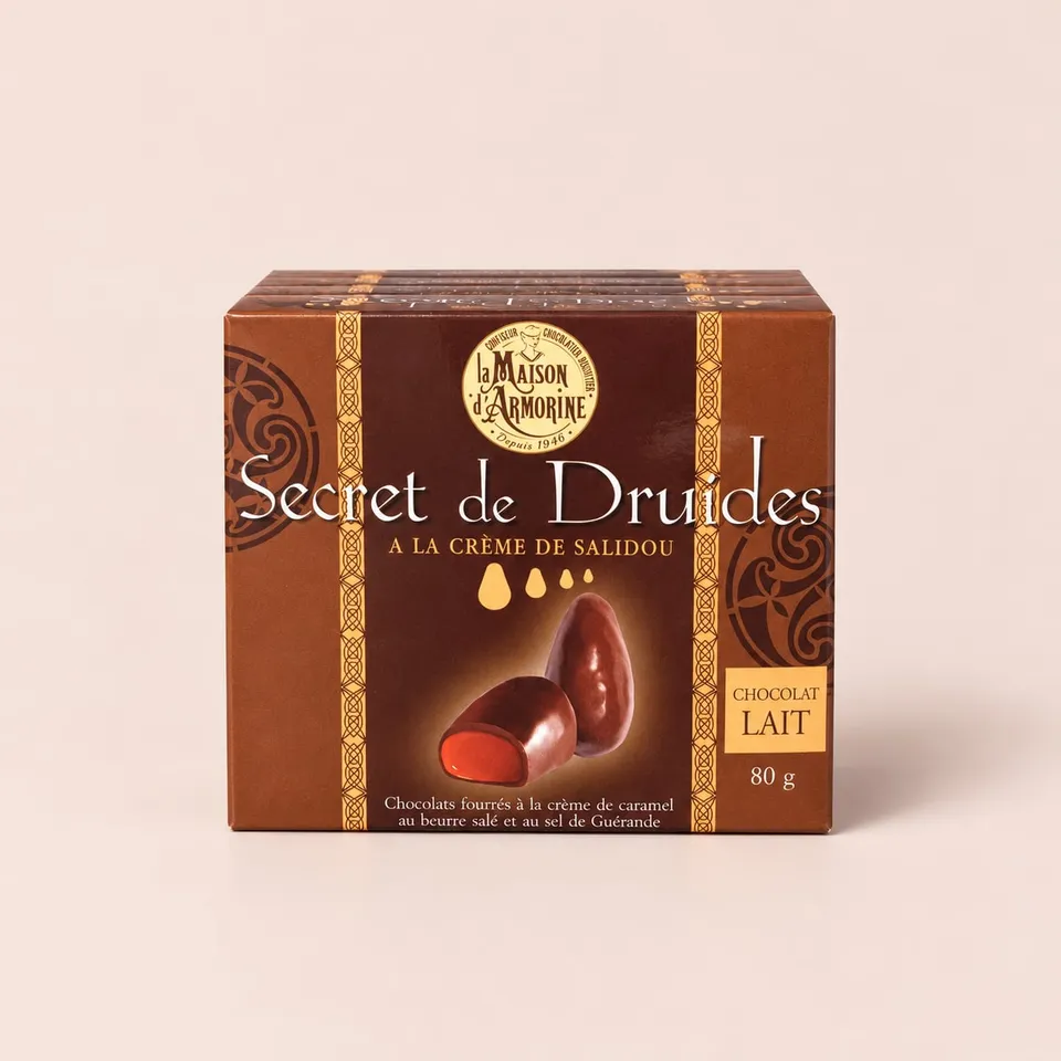 Secret de Druides au Lait, La Maison d'Armorine
